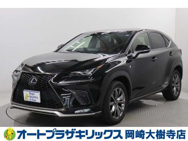 NX300h Fスポーツ
