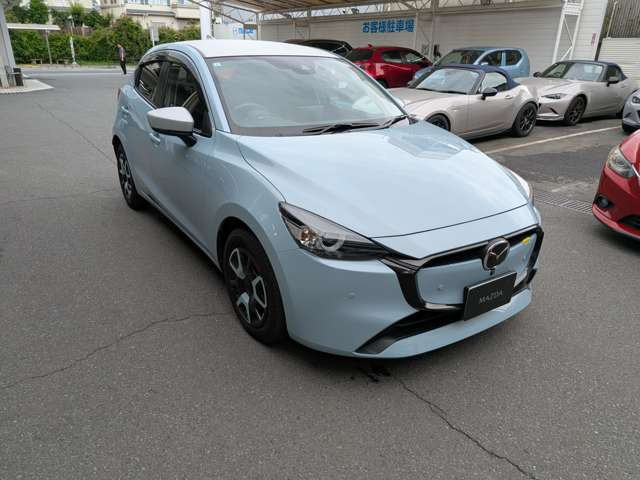 MAZDA21.5 XD BD