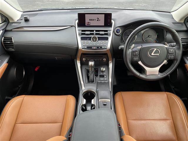 NX300h バージョンL