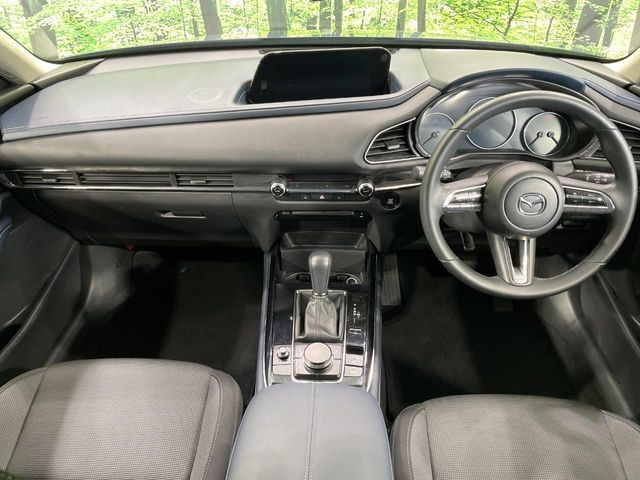 CX-302.0 20S