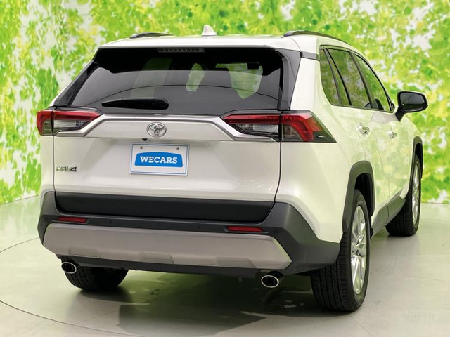 RAV42.0 G Zパッケージ 4WD
