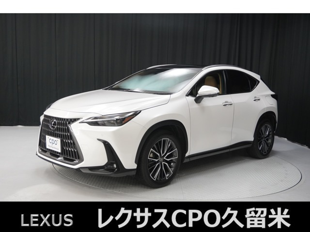 NX250 バージョンL