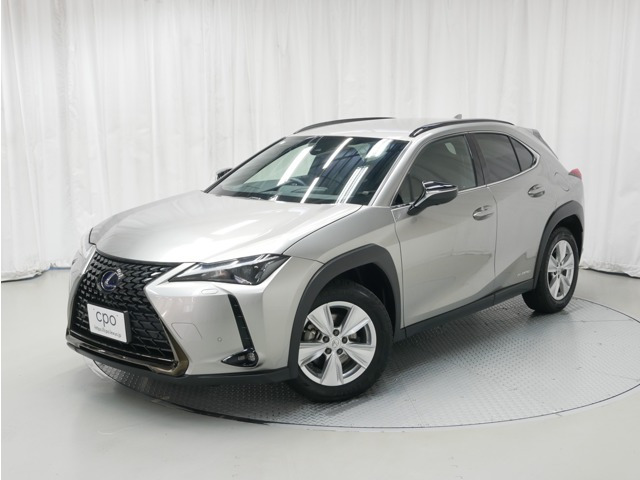 UX250h