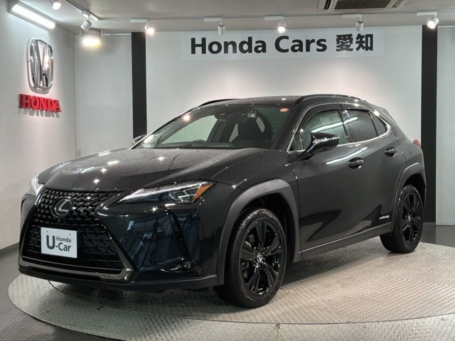 UX250h