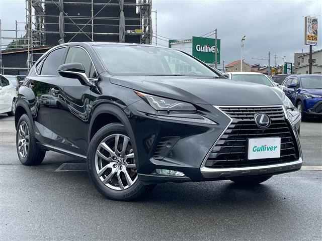 NX300h バージョンL
