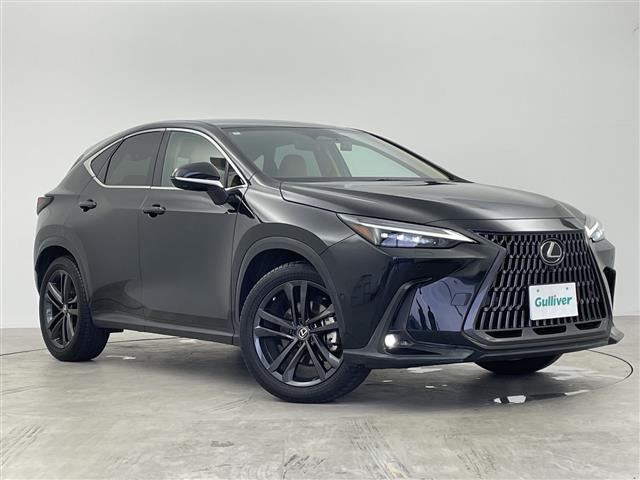 NX350h バージョンL