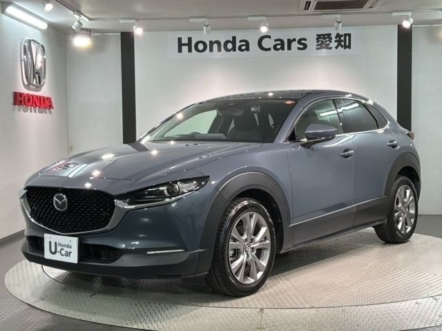 CX-302.0 20S プロアクティブ