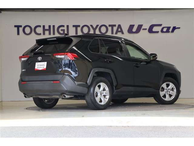 RAV42.0 X