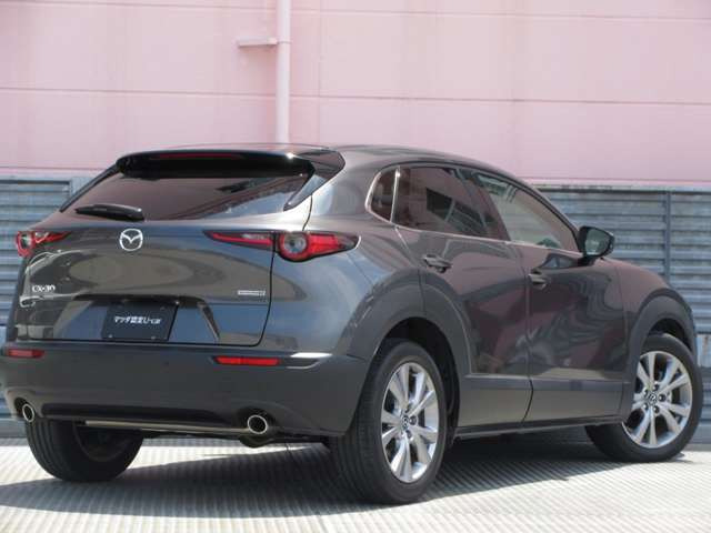 CX-301.8 XD Lパッケージ