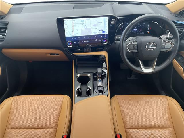 NX250 バージョンL