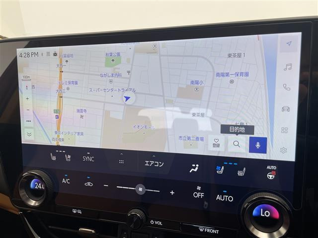 NX250 バージョンL