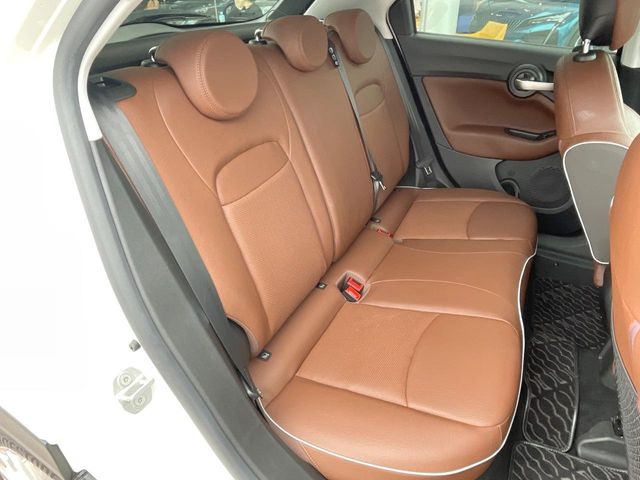 ���㕔���Ȃ��C�ɂȂ�悤�ȃL�Y�E�����ւ��蓙�A�傫�ȃ_���[�W�͂Ȃ��A�ǍD�ȏ�Ԃł��B