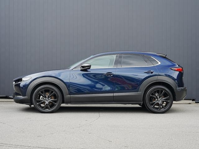 CX-302.0 20S