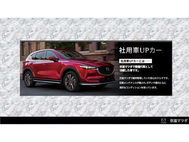 CX-803.3 XD ディーゼル