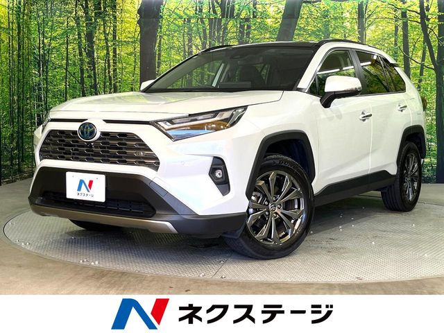 RAV42.5 ハイブリッド G E-Four 4WD