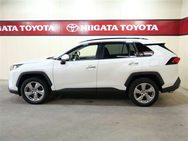 RAV42.5 ハイブリッド G E-Four 4WD