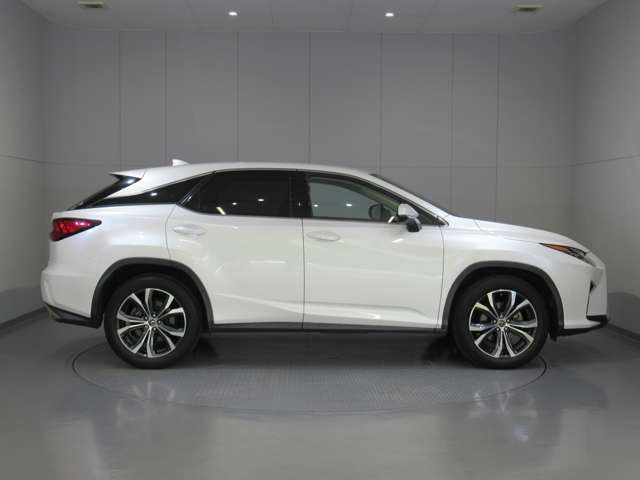 RX300