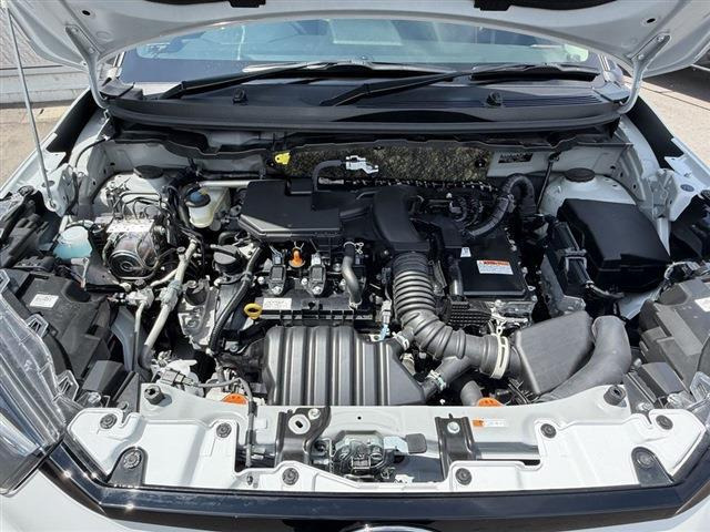 ライズハイブリッド 1.2 Z