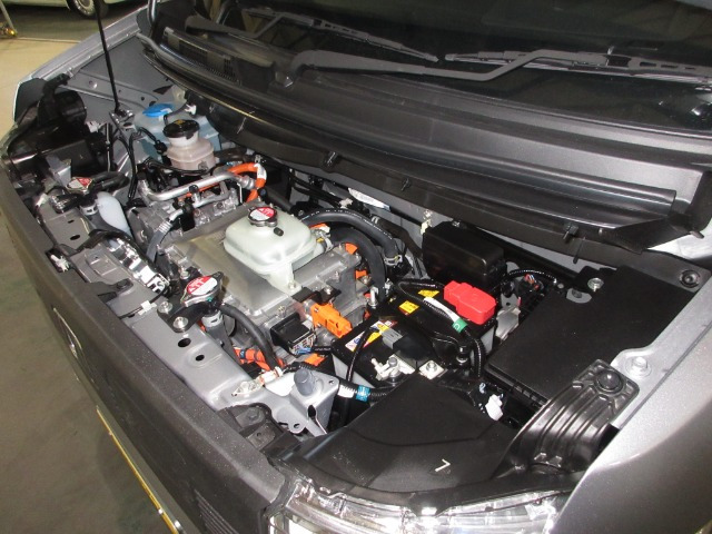 N-VAN e:e: L4