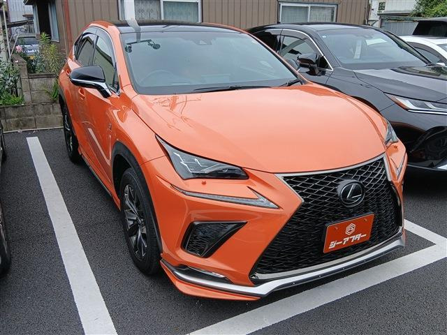 NX300 Fスポーツ