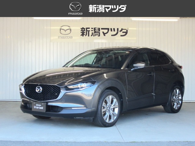 CX-301.8 XD プロアクティブ 4WD
