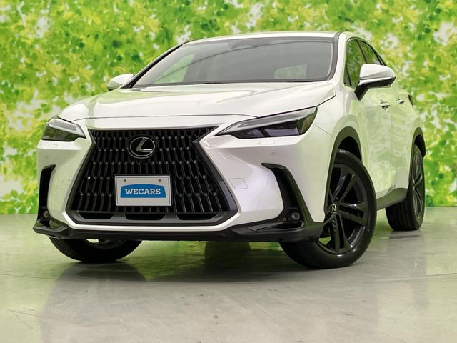 NX250 バージョンL