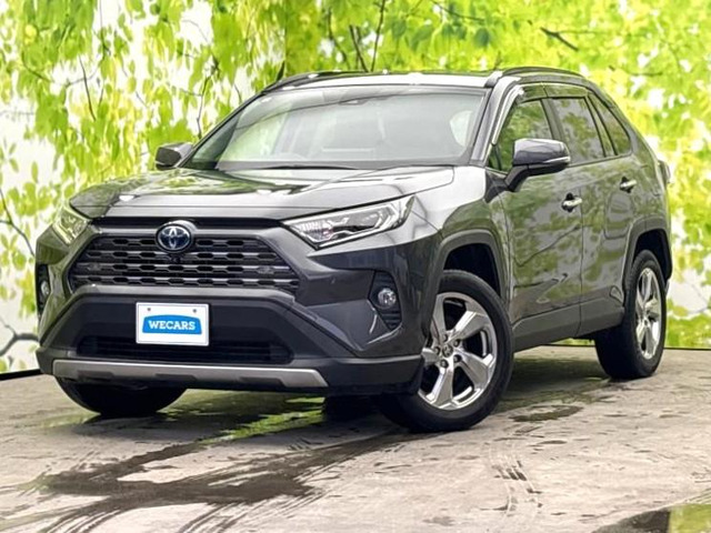 RAV42.5 ハイブリッド G E-Four 4WD