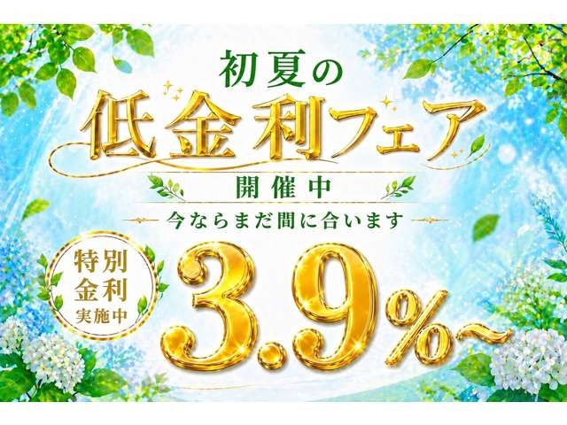 �ЊO�̃I�v�V�����AHDD�i�r��ETC�A�G�A����18�C���`AW�Ȃǂ̃I�v�V���������p�Ӓv���܂�!���Ȃ������̈�������`�������Ē����܂���