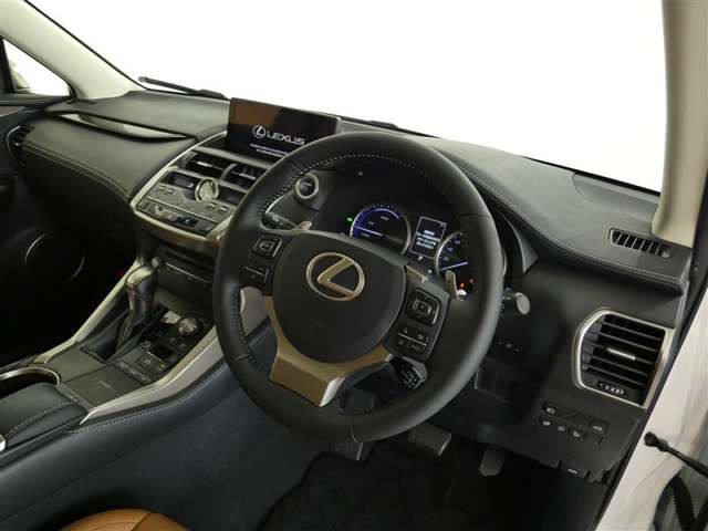 NX300h Iパッケージ