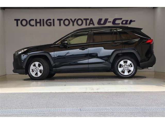 RAV42.0 X