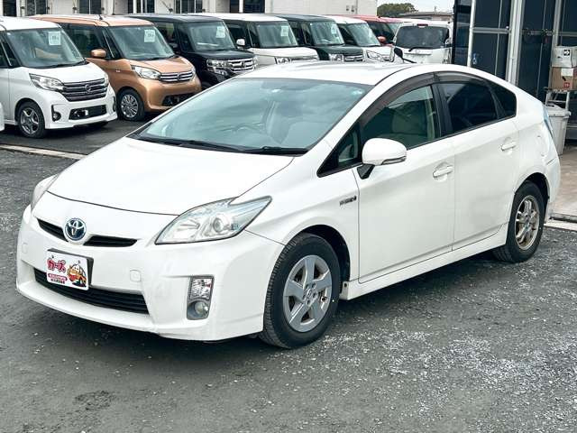 �y39.8���X�J�[�Y�̎��q���������������A���ɂ��肪�Ƃ��������܂��B���������S�s���c1186-7TEL:0942-73-6060�܂ł��⍇����������
