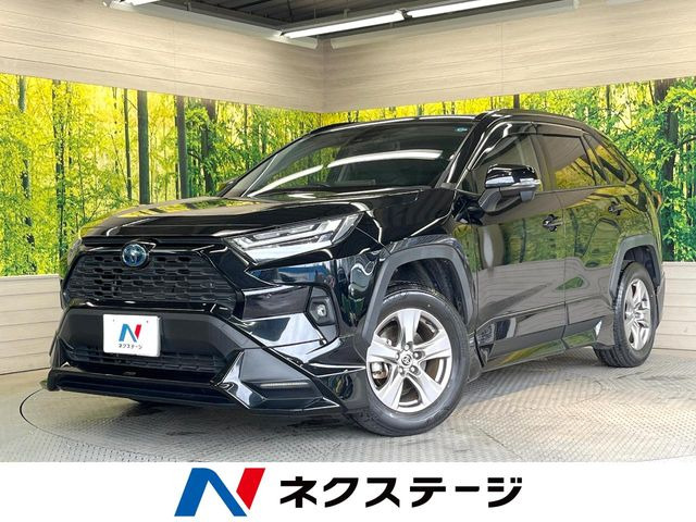 RAV42.5 ハイブリッド X