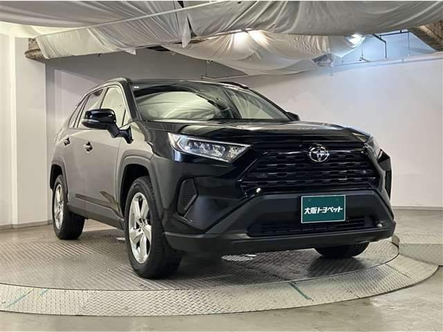RAV42.0 X