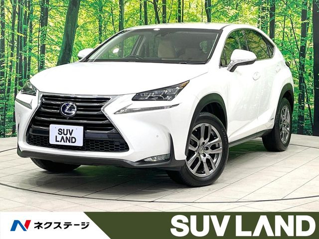 NX300h Iパッケージ