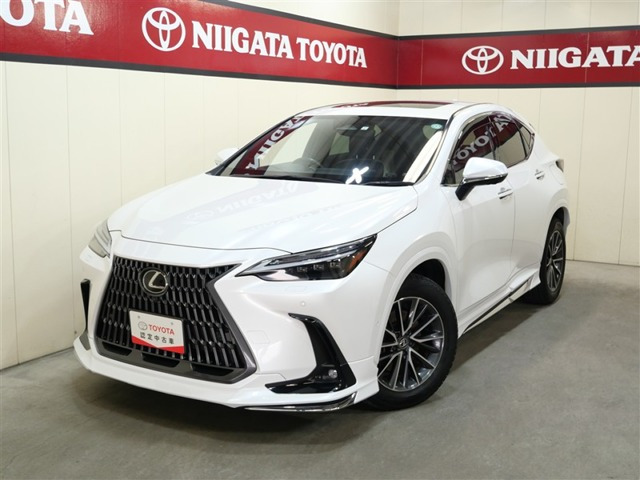 NX450hプラス バージョンL 4WD