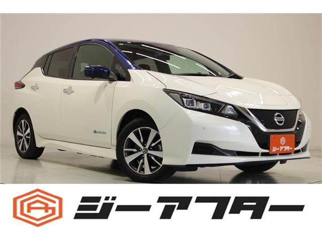 リーフe+ X