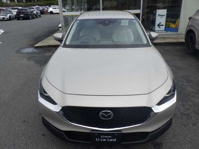CX-301.8 XD Lパッケージ