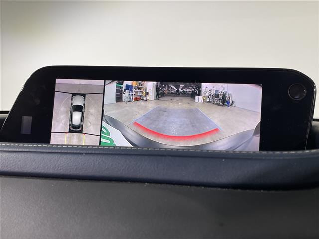 CX-302.0 20S プロアクティブ
