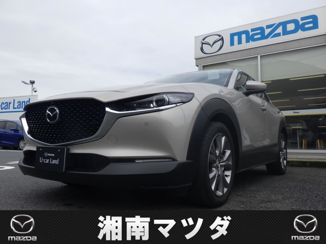 CX-301.8 XD Lパッケージ