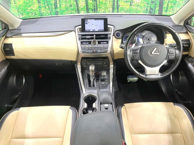 NX300h Iパッケージ