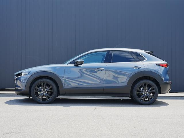 CX-302.0 20S