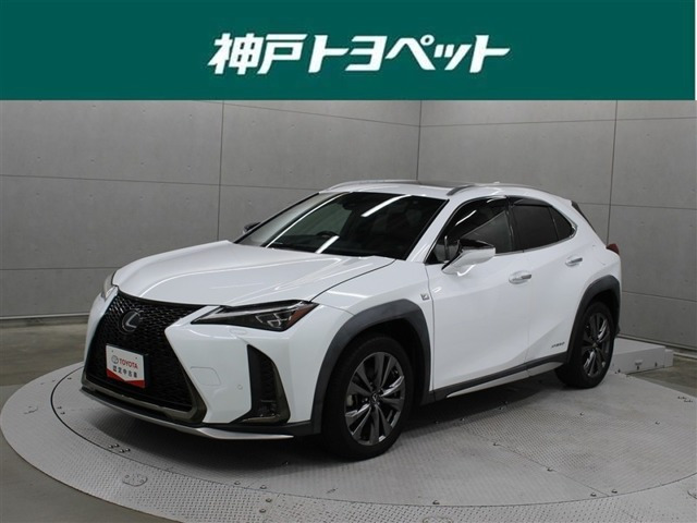 UX250h Fスポーツ