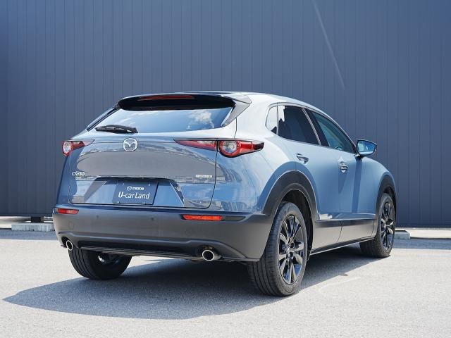 CX-302.0 20S