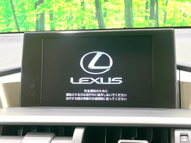 NX300h Iパッケージ