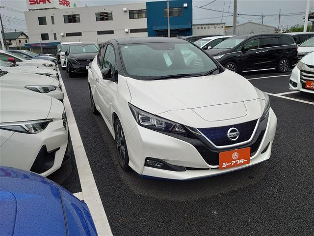 リーフe+ G