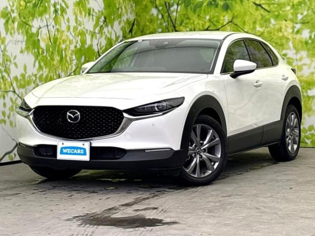 CX-302.0 20S プロアクティブ