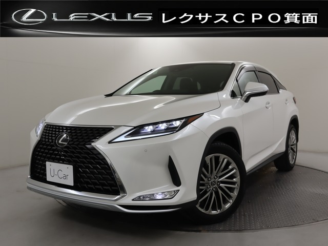 RX300 バージョンL