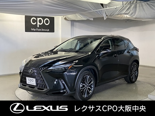 NX250 バージョンL