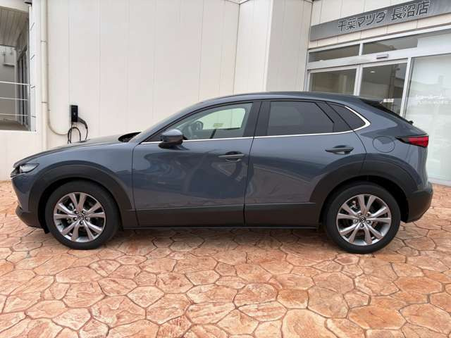 CX-302.0 20S プロアクティブ