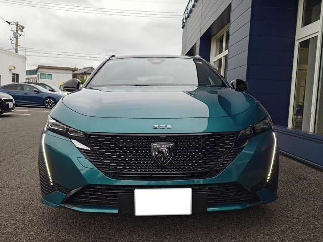308SW